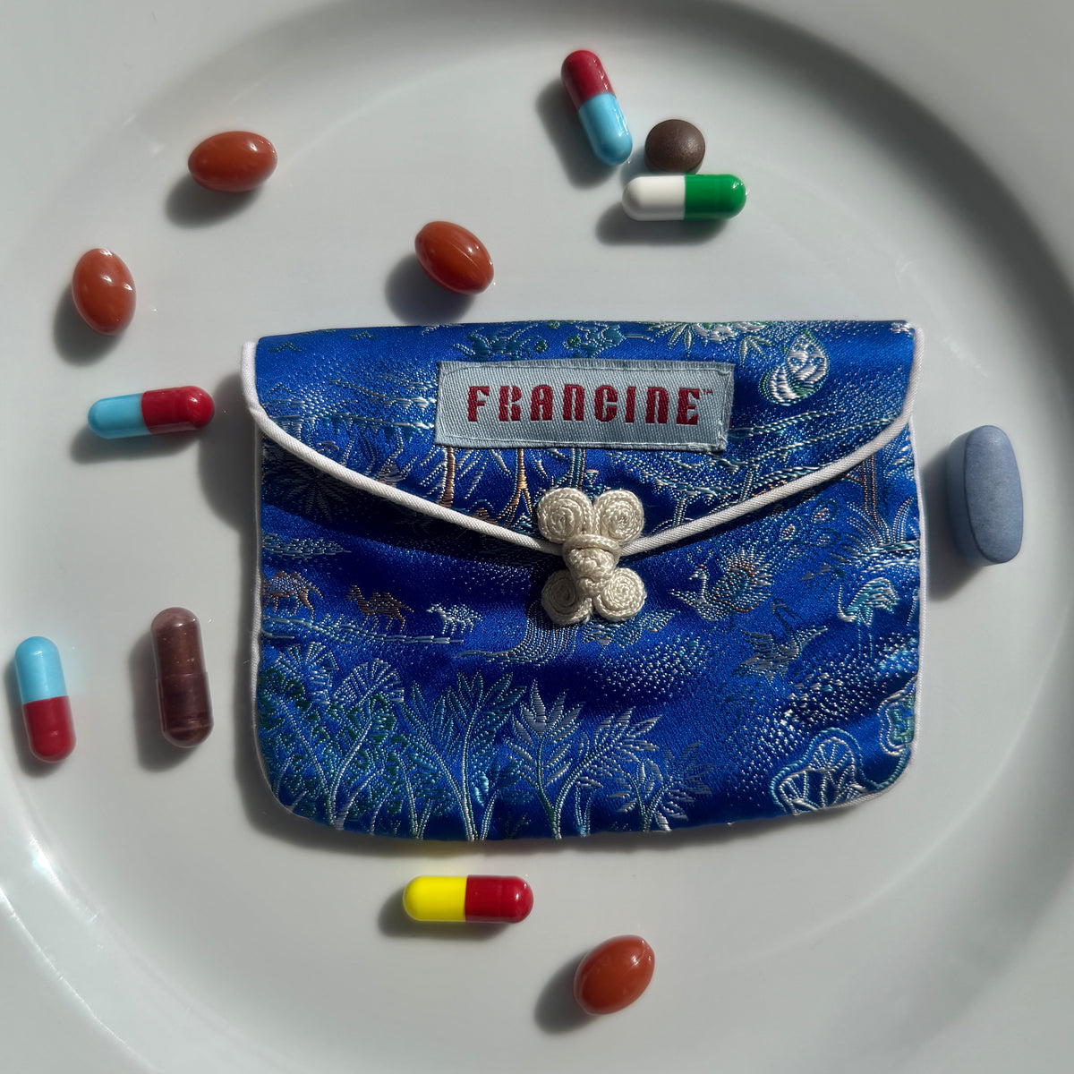 Medicine Pouch