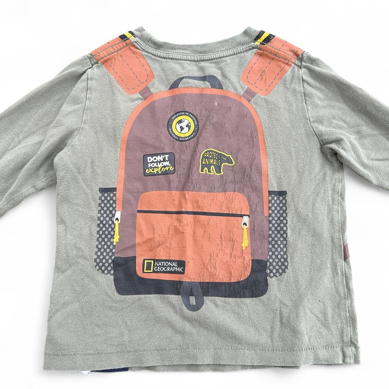 NatGeo GAP camera top